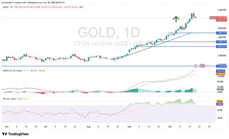 【XM Group】--Gold Analysis: Reasons for the Recent Rally are Still Valid. The Bulls are Preparing(图1)